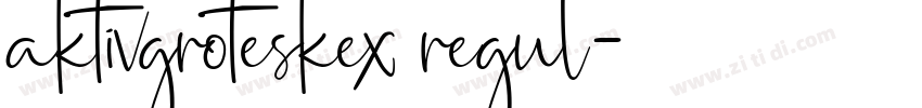 aktivgroteskex regul字体转换 aktivgroteskex regul字体转换